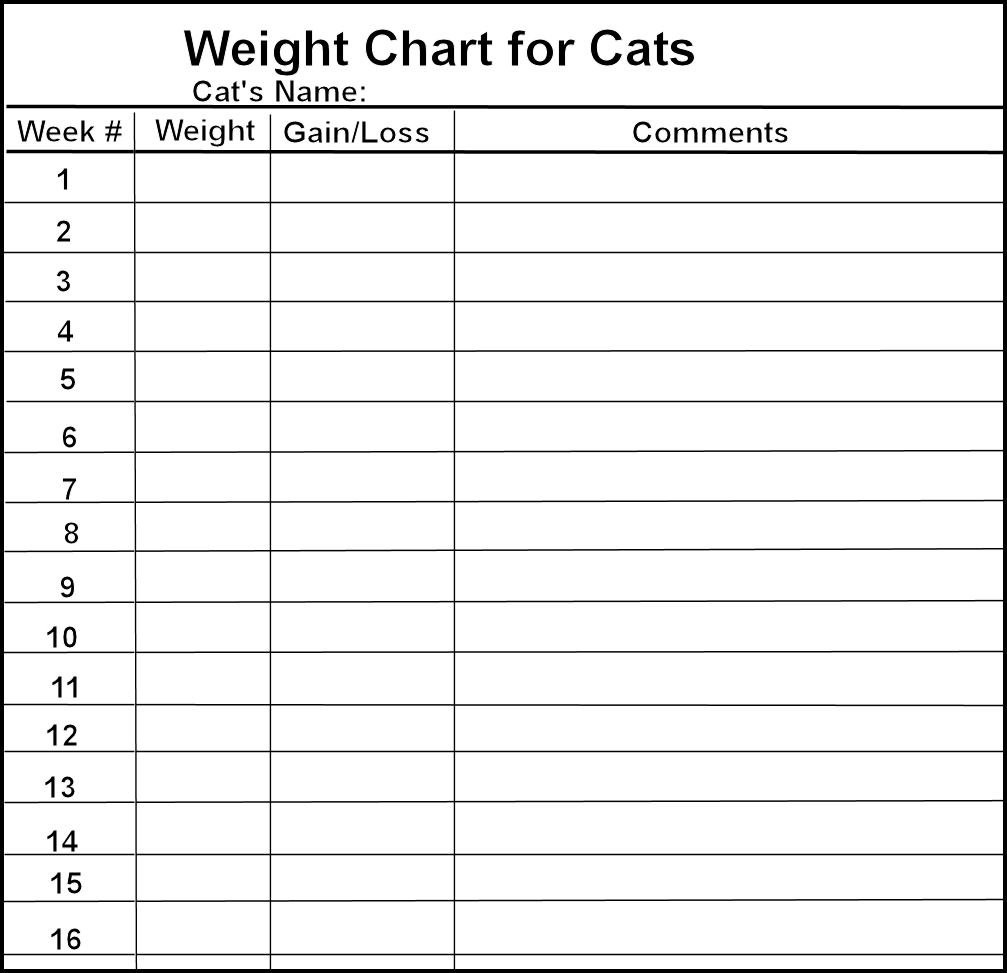 Calendar Weight Chart