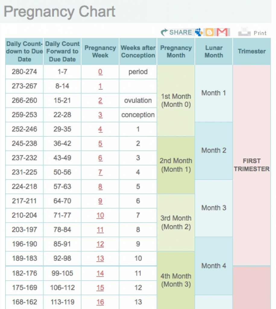 Unique Printable Pregnancy Calendar Week By Week Free Printable Calendar Monthly
