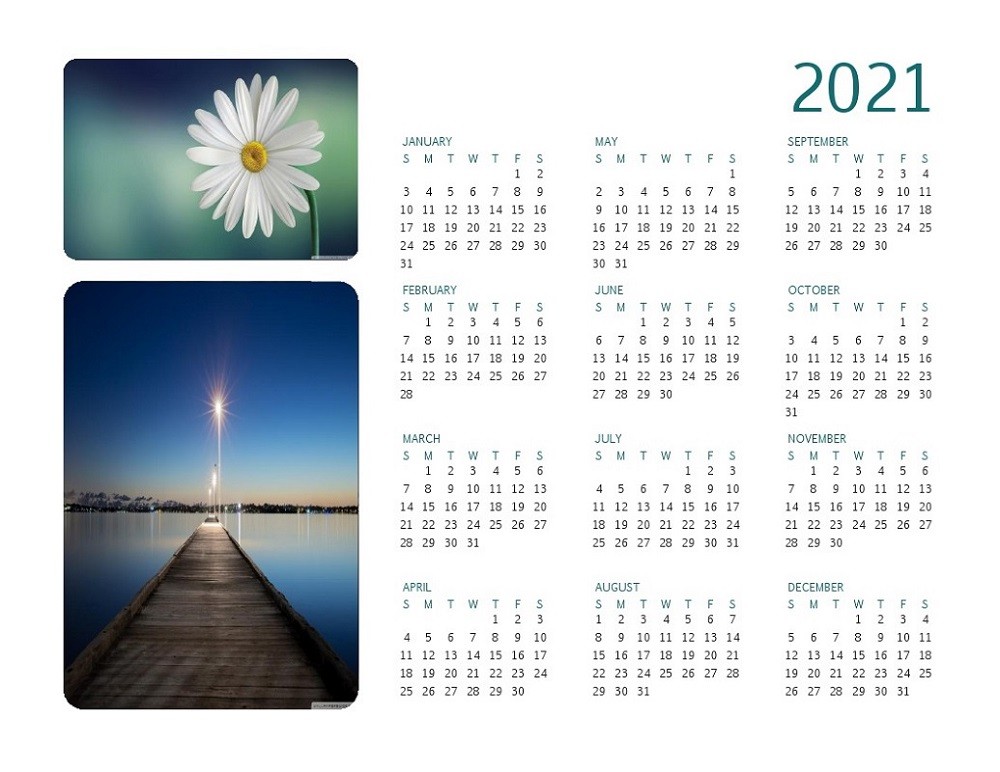 Year at A Glance Calendar 2021 Printable Free for ...