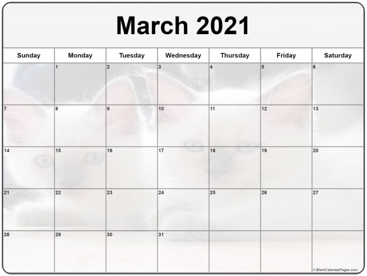 July 2020 To June 2021 Calendar Australia